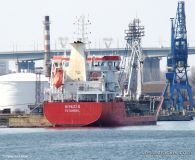  ANGIMAR